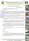 Vista preliminar de documento Resolución de Alcaldía N°176-2015-MPA