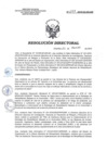 Vista preliminar de documento RD 027-2018-SA-DG-INR