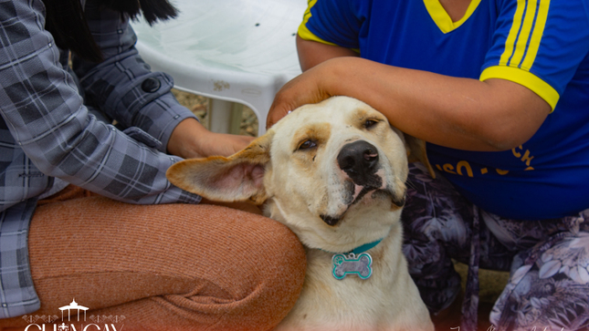 La iniciativa fue organizada por el Registro Único Municipal de Mascotas (RUMM), evidenciando el compromiso continuo de la municipalidad con la salud y el bienestar.