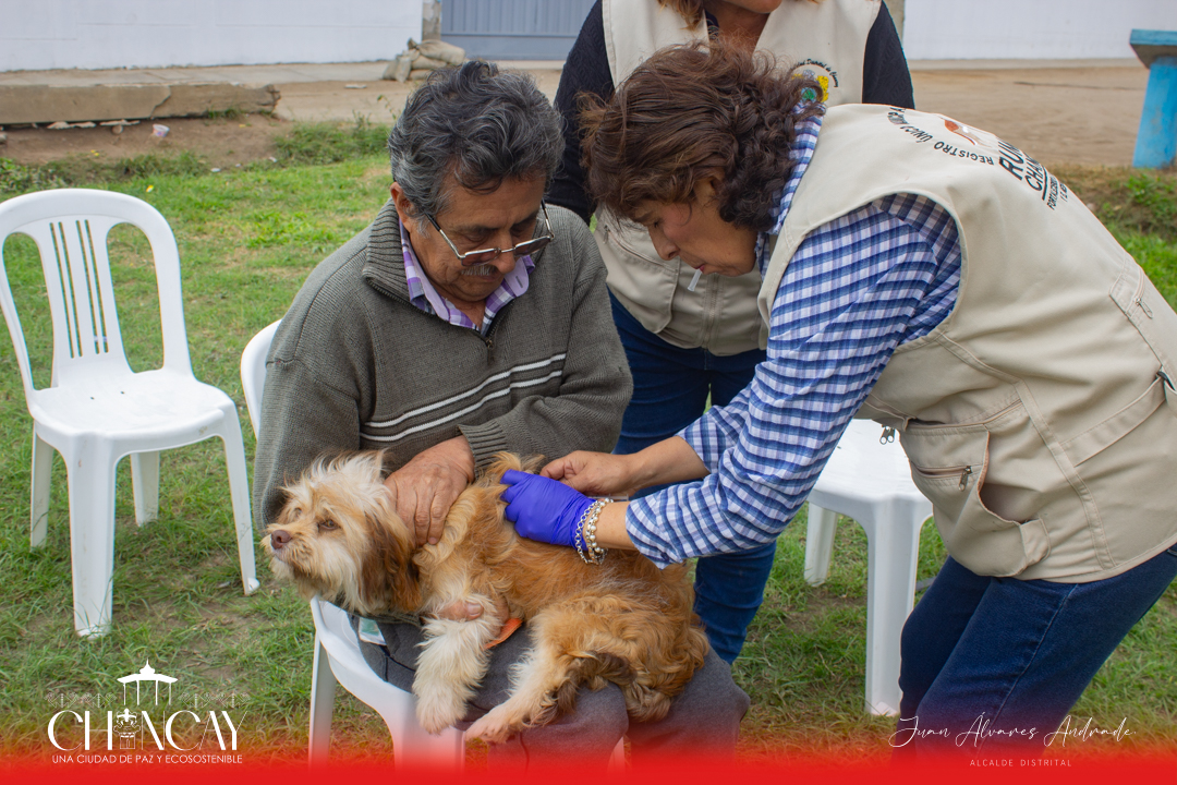 La iniciativa fue organizada por el Registro Único Municipal de Mascotas (RUMM), evidenciando el compromiso continuo de la municipalidad con la salud y el bienestar.