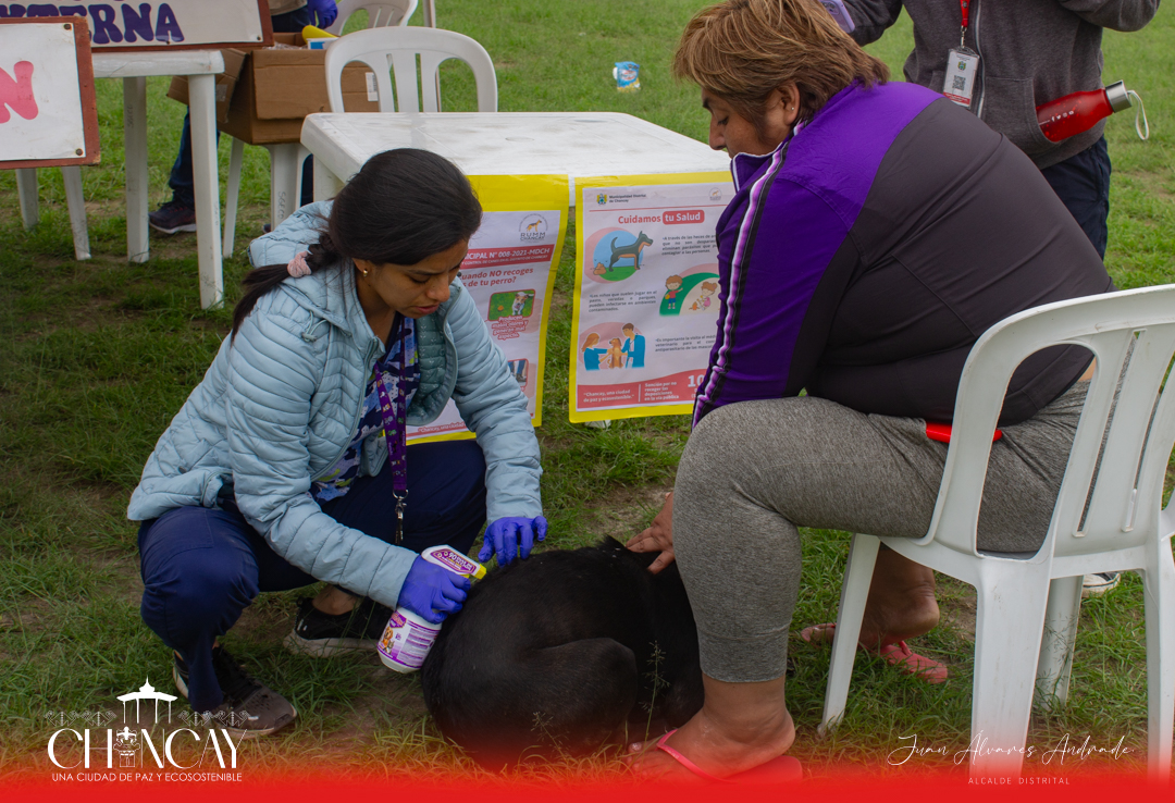 La iniciativa fue organizada por el Registro Único Municipal de Mascotas (RUMM), evidenciando el compromiso continuo de la municipalidad con la salud y el bienestar.