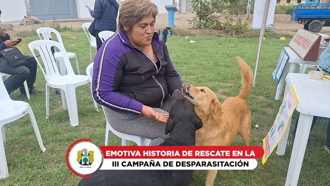 Durante el evento, conocimos a "Negrita", una canina valiente que fue rescatada por Sara Osorio Baca, una residente de "Las Salinas".