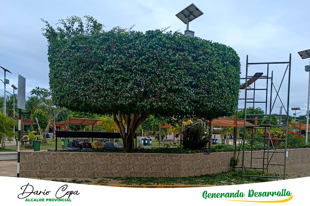 La Oficina de Gerencia de Gestión Ambiental de la Municipalidad Provincial de Tahuamanu