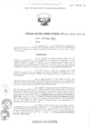 Vista preliminar de documento 446745400260203304