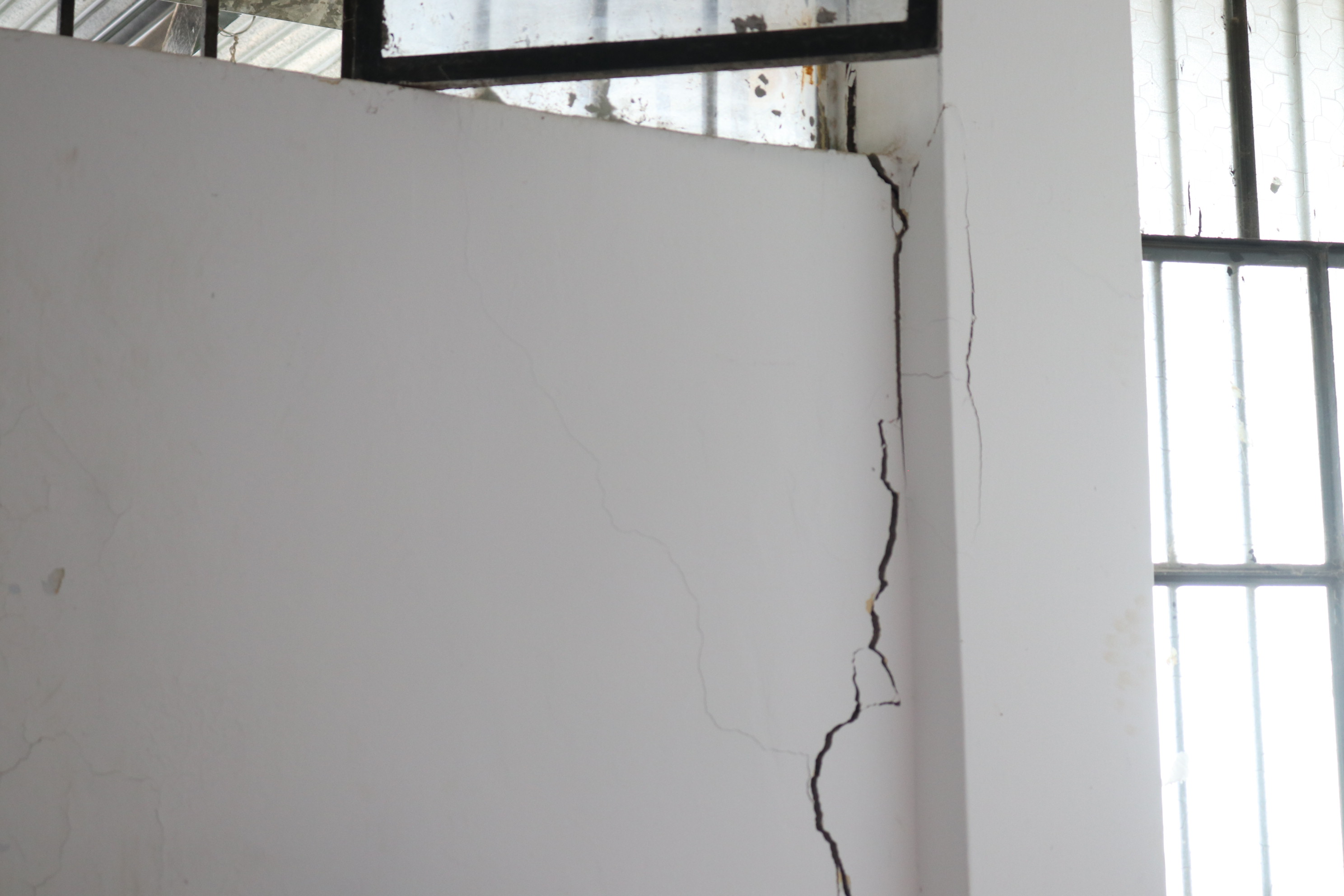 pared
