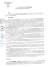 Vista preliminar de documento RESGER42-2023