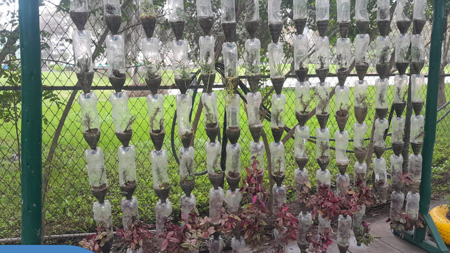 El equipo de Educca Ambiental ♻️ realiza de manera frecuente, la rehabilitación de los jardines verticales ubicados en nuestro Eco Parque, con el objetivo de mantener y renovar las especies que se están cultivando en el vivero municipal. ☘️
En el proceso se emplean botellas de plástico reciclado, dando un aporte decorativo y optimizando el agua para su riego.

¿Quiéres aplicar nuestras técnicas en tu centro educativo? ✨️Llámanos al 📱 940410958.