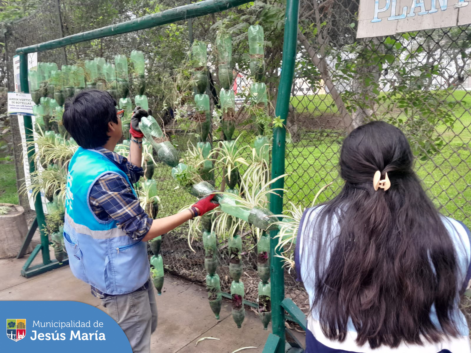 El equipo de Educca Ambiental ♻️ realiza de manera frecuente, la rehabilitación de los jardines verticales ubicados en nuestro Eco Parque, con el objetivo de mantener y renovar las especies que se están cultivando en el vivero municipal. ☘️
En el proceso se emplean botellas de plástico reciclado, dando un aporte decorativo y optimizando el agua para su riego.

¿Quiéres aplicar nuestras técnicas en tu centro educativo? ✨️Llámanos al 📱 940410958.