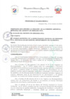 Vista preliminar de documento Ordenanza Comisión Ambiental  Gregorio Pita