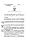 Vista preliminar de documento RD 004-2017-SA-DG-INR