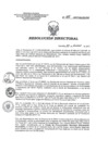 Vista preliminar de documento RD 008-2017-SA-DG-INR