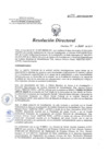 Vista preliminar de documento RD 014-2017-SA-DG-INR