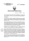 Vista preliminar de documento RD 017-2017-SA-DG-INR