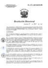 Vista preliminar de documento RD 053-2017-SA-DG-INR