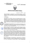 Vista preliminar de documento RD 055-2017-SA-DG-INR