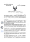 Vista preliminar de documento RD 069-2017-SA-DG-INR