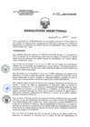 Vista preliminar de documento RD 072-2017-SA-DG-INR