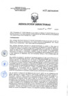 Vista preliminar de documento RD 074-2017-SA-DG-INR
