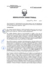 Vista preliminar de documento RD 075-2017-SA-DG-INR