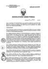 Vista preliminar de documento RD 077-2017-SA-DG-INR