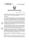 Vista preliminar de documento RD 076-2017-SA-DG-INR