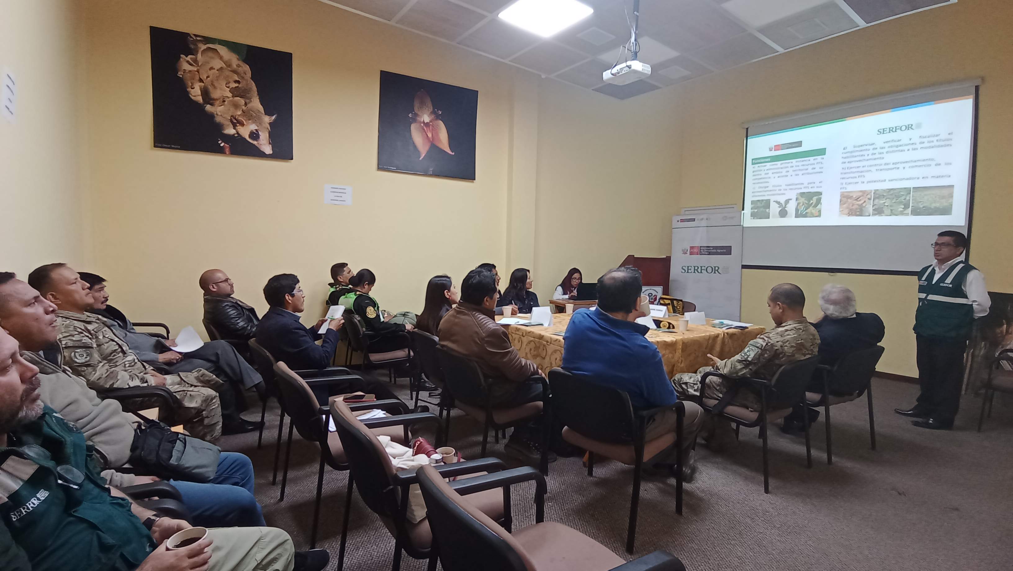 Control y Vigilancia Forestal