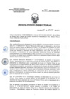 Vista preliminar de documento RD 144-2017-SA-DG-INR