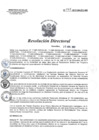 Vista preliminar de documento RD 147-2017-SA-DG-INR