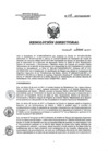 Vista preliminar de documento RD 158-2017-SA-DG-INR