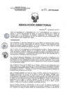 Vista preliminar de documento RD 163-2017-SA-DG-INR