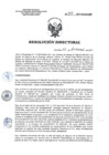 Vista preliminar de documento RD 167-2017-SA-DG-INR