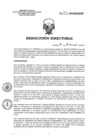Vista preliminar de documento RD 161-2017-SA-DG-INR