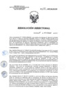 Vista preliminar de documento RD 195-2017-SA-DG-INR