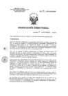 Vista preliminar de documento RD 196-2017-SA-DG-INR