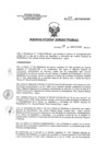 Vista preliminar de documento RD 197-2017-SA-DG-INR