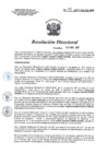 Vista preliminar de documento RD 198-2017-SA-DG-INR