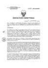 Vista preliminar de documento RD 200-2017-SA-DG-INR