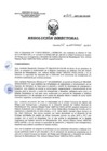 Vista preliminar de documento RD 204-2017-SA-DG-INR