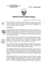 Vista preliminar de documento RD 203-2017-SA-DG-INR