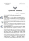 Vista preliminar de documento RD 205-2017-SA-DG-INR
