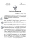 Vista preliminar de documento RD 208-2017-SA-DG-INR