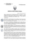 Vista preliminar de documento RD 209-2017-SA-DG-INR