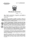 Vista preliminar de documento RD 214-2017-SA-DG-INR