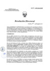 Vista preliminar de documento RD 215-2017-SA-DG-INR