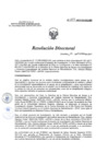 Vista preliminar de documento RD 223-2017-SA-DG-INR