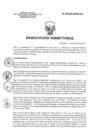 Vista preliminar de documento RD 219-2017-SA-DG-INR