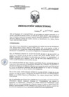 Vista preliminar de documento RD 226-2017-SA-DG-INR