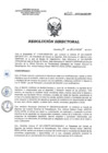 Vista preliminar de documento RD 225-2017-SA-DG-INR