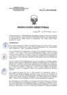 Vista preliminar de documento RD 232-2017-SA-DG-INR