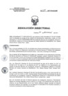 Vista preliminar de documento RD 239-2017-SA-DG-INR